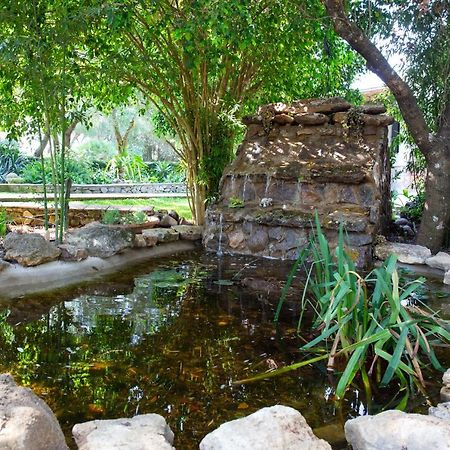 Villa Casa Caramelo Medina-Sidonia Esterno foto